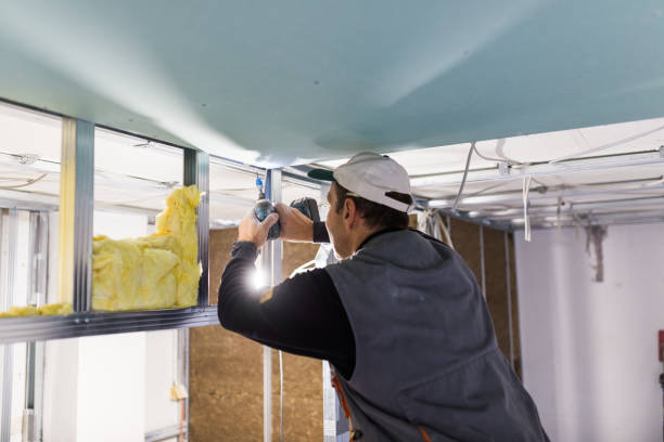 Best Insulation for Specific Applications in Louisiana, MO