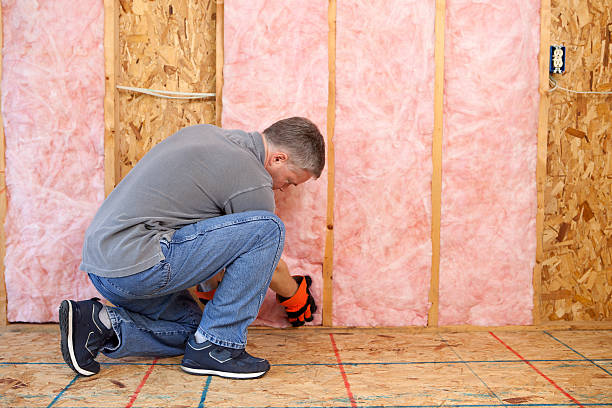 Best Blown-in Insulation in Louisiana, MO