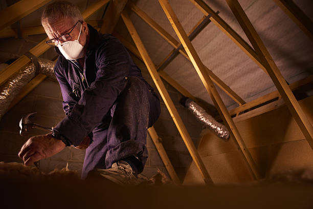 Best Energy Efficiency Insulation in Louisiana, MO